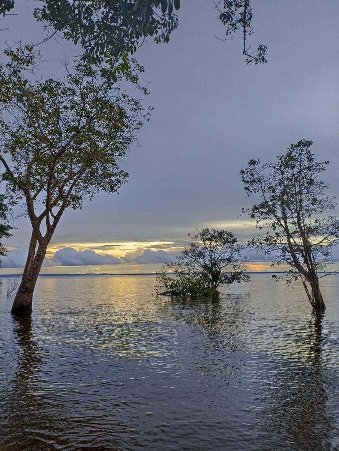Redario Botos De Alter Hotel อัลเตร์ ดู เชา ภายนอก รูปภาพ